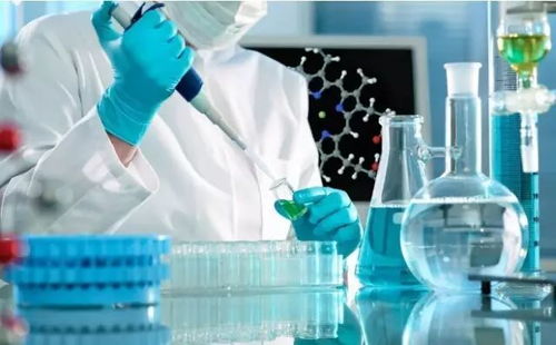 園區企業領航材料科學，國家重點研發項目5930萬經費助推科技創新
