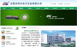 東莞專業(yè)網(wǎng)站設(shè)計(jì)與建設(shè) 耐特網(wǎng)絡(luò)公司運(yùn)營管理解析