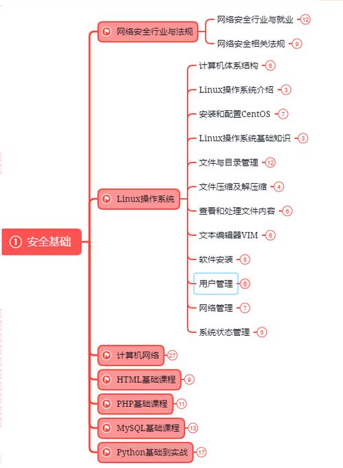 年薪百萬的網(wǎng)絡(luò)信息安全工程師 守護數(shù)字世界的神秘衛(wèi)士